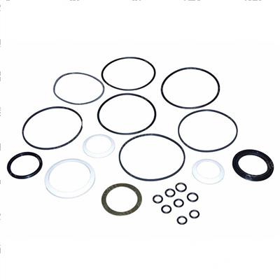 Picture of Buna N Seal Kit