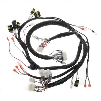 Picture of Master Wiring Harness