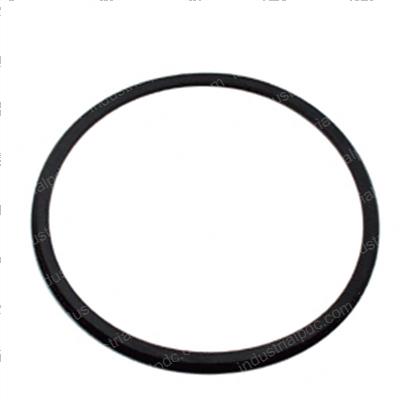 Picture of O-Ring