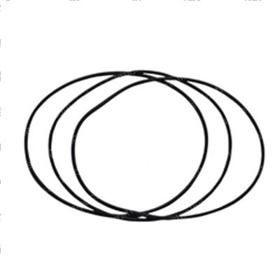 Picture of O-Ring