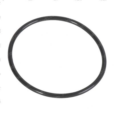 Picture of O-Ring