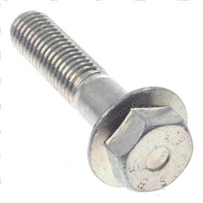 Picture of Screw