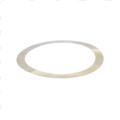 Picture of Shim - Steer Axle 49x61x0.1mm