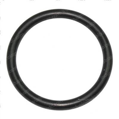 Picture of O-Ring