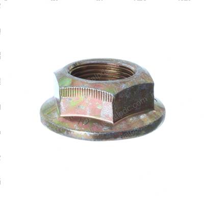 Picture of Nut