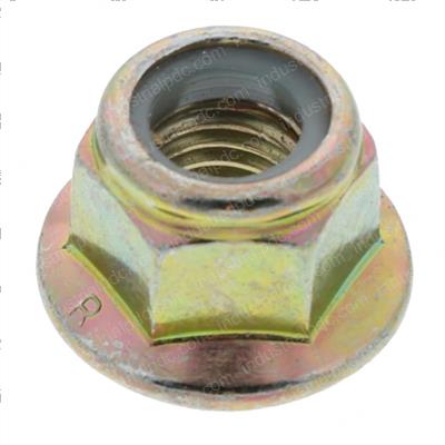 Picture of Nut