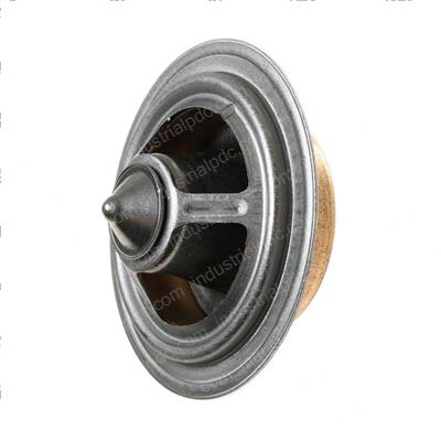 Picture of Thermostat/160