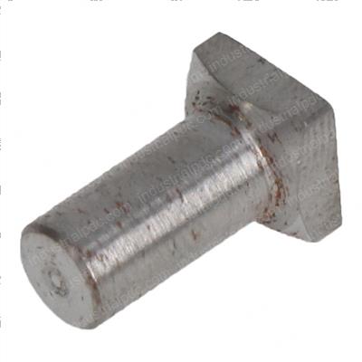 Picture of Pin