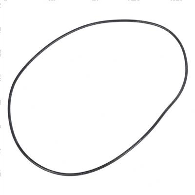 Picture of O-Ring