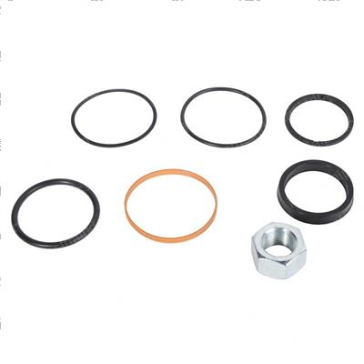 Picture of Hyd, Seal Kit