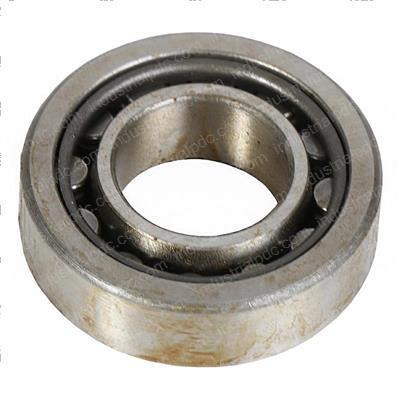 Picture of Bearing