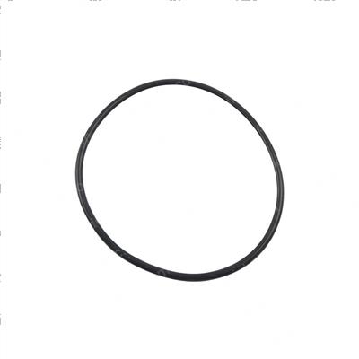 Picture of O-Ring