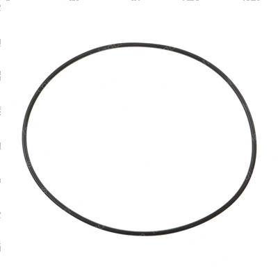Picture of O-Ring