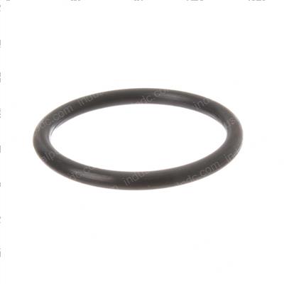 Picture of O-Ring