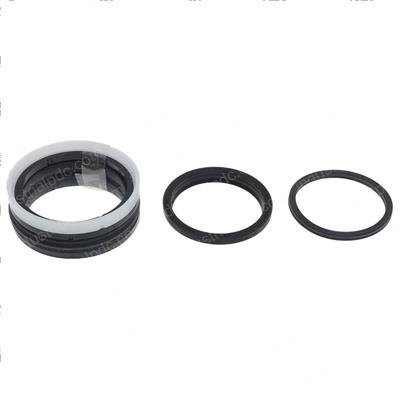 Picture of Seal Kit for Duplex Mast C8169s