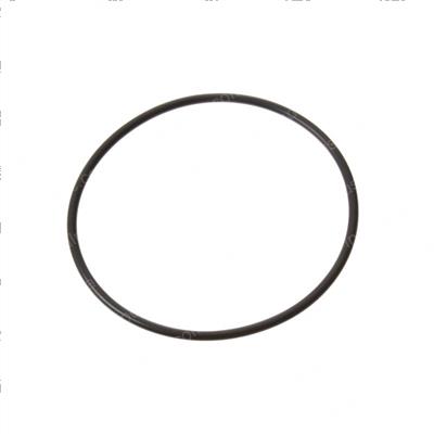 Picture of O-Ring