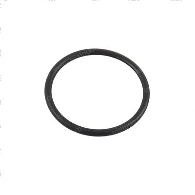 Picture of O-Ring