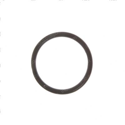 Picture of O-Ring