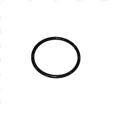 Picture of O-Ring
