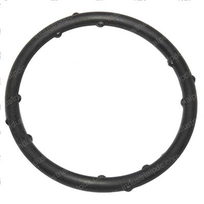 Picture of O-Ring - Special