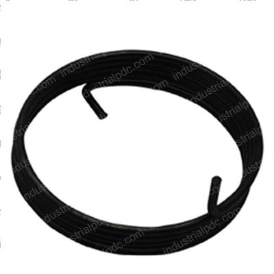 Picture of Spring - Torsion