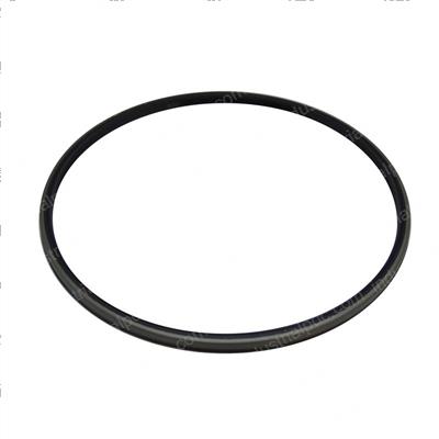 Picture of Seal - Oil