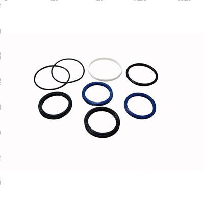 Picture of Seal Kit -  Cylinder Overhaul