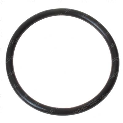 Picture of O-Ring