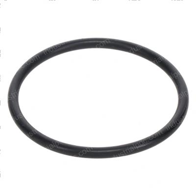 Picture of O-Ring