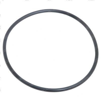 Picture of O-Ring