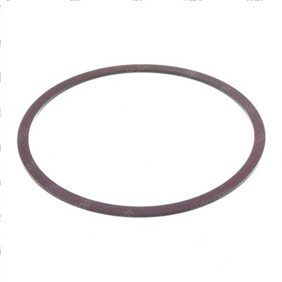 Picture of Ring - Back Up