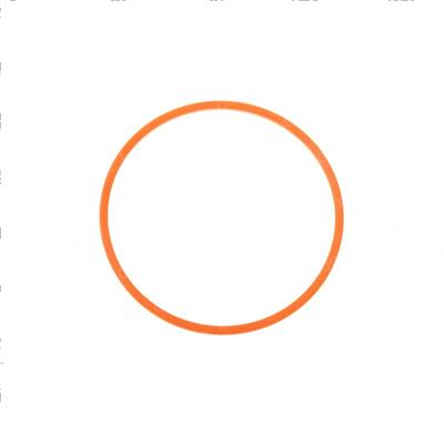 Picture of Ring - Back Up