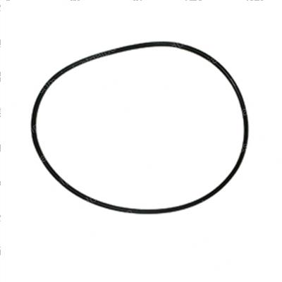 Picture of O-Ring