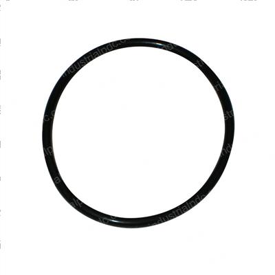 Picture of O-Ring