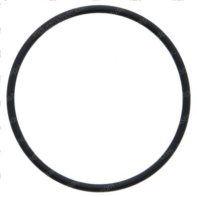 Picture of O-Ring