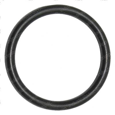 Picture of O Ring, Drain Plug