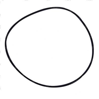 Picture of O-Ring