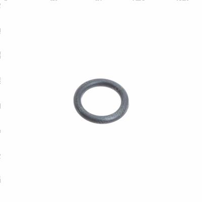 Picture of O-Ring