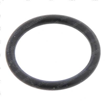 Picture of O-Ring
