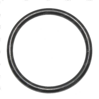 Picture of O-Ring