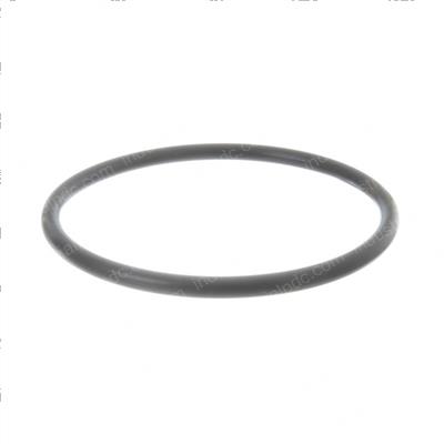 Picture of O-Ring