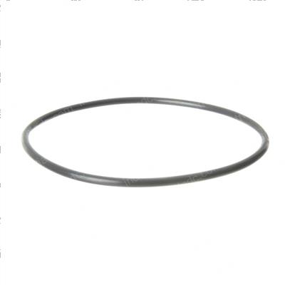 Picture of O-Ring