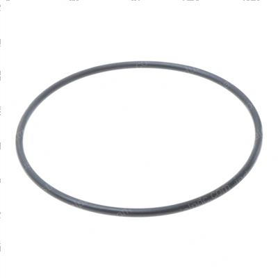 Picture of O-Ring