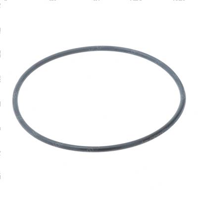 Picture of O-Ring