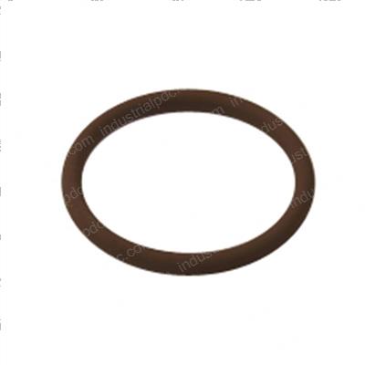 Picture of O-Ring