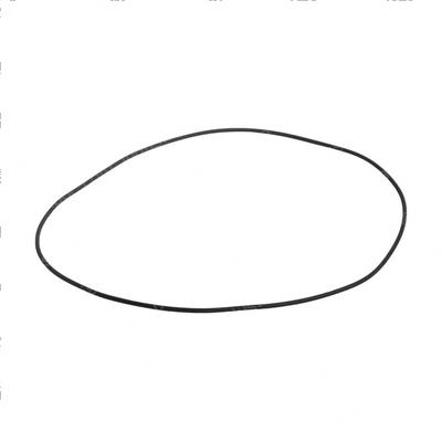 Picture of O-Ring