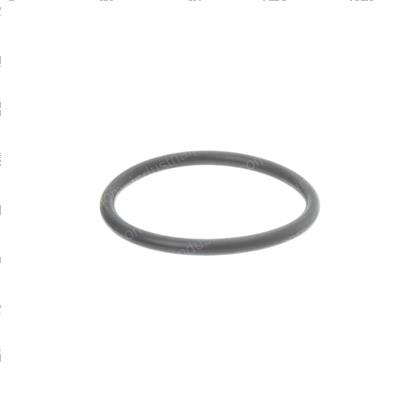 Picture of O-Ring