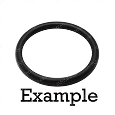 Picture of O-Ring