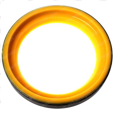 Picture of Seal-Lip Typ