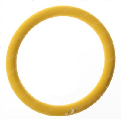 Picture of O-Ring